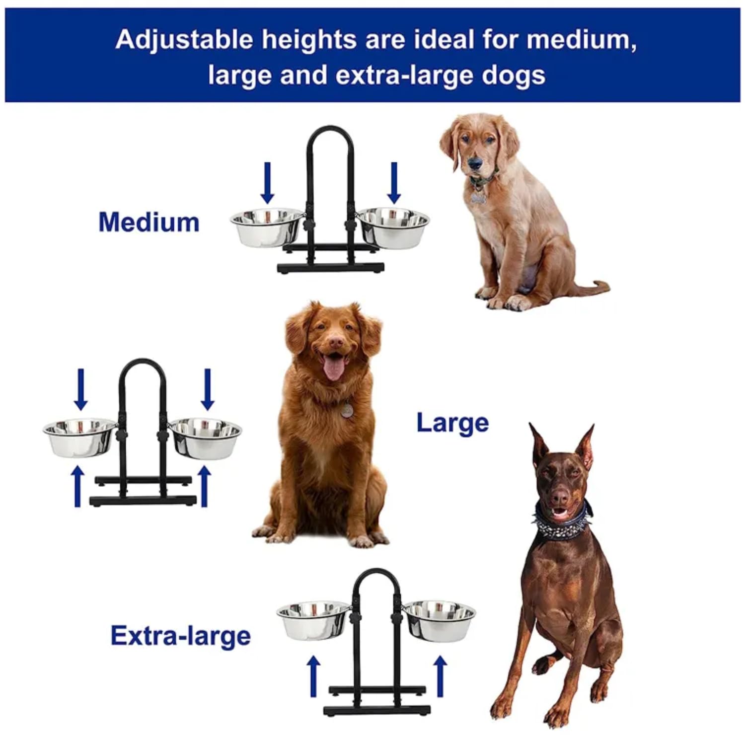 Collapsible Pet Travel Bowl - Set of 2