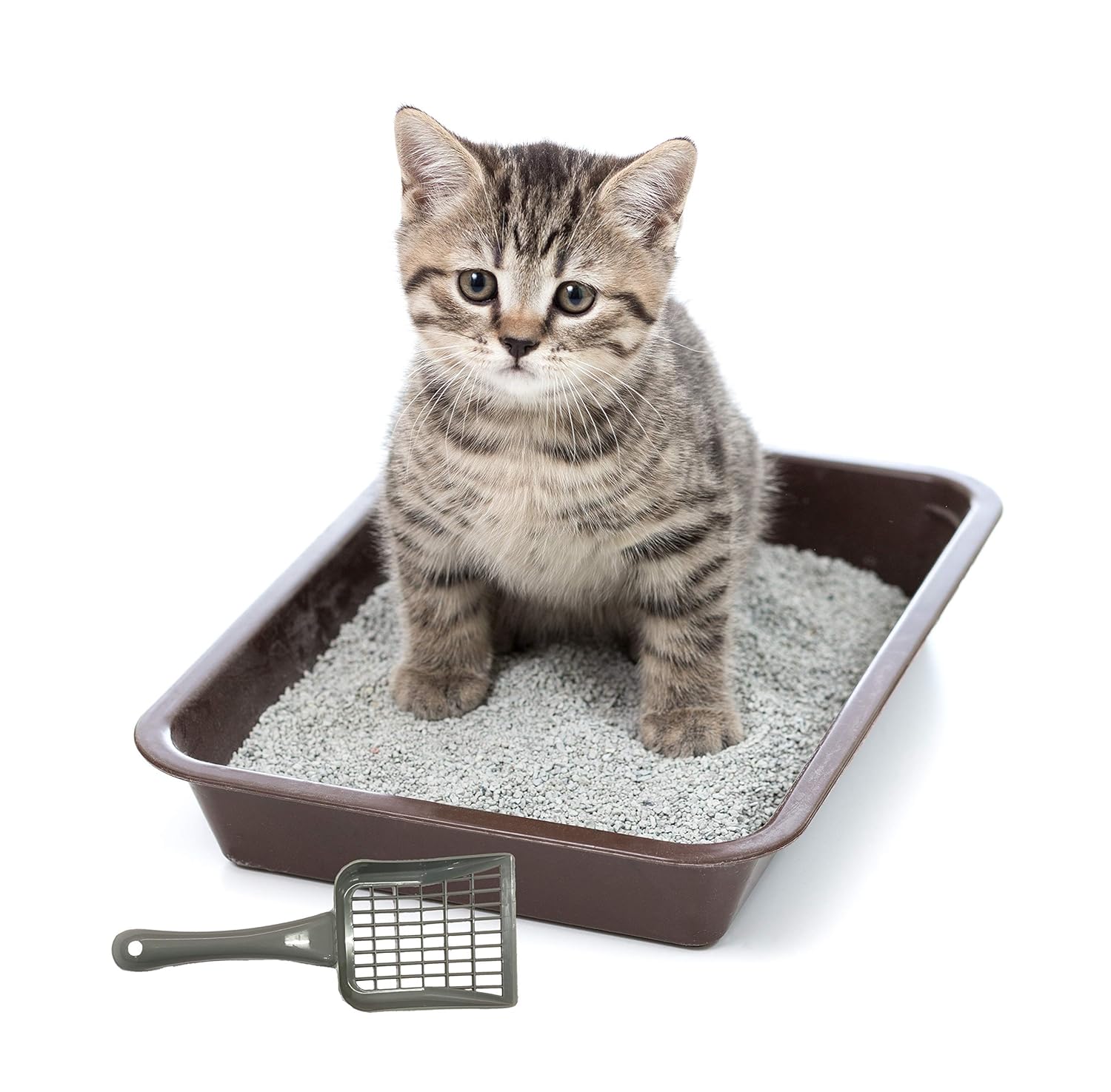 Cat Litter Box with Scoop and Lid