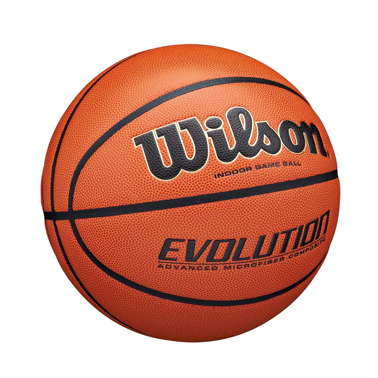 Wilson Evolution Indoor Basketball
